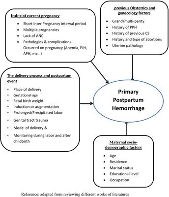 Risk factors of primary postpartum hemorrhage among postnatal mothers in the public hospital of southern Tigray, Ethiopia, 2019: A case-control study